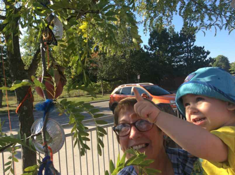 educator holding a child while observing a butterfly